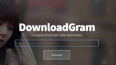 Don't Lose Your Favorite Clips: How to Download Videos From Instagram