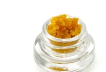 Elevate Your Glow The Ultimate Guide to Cannabis Face Products